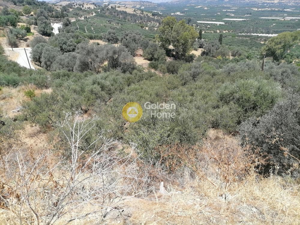 Building Plot in Kouses, Moires — Photo 15 of 21