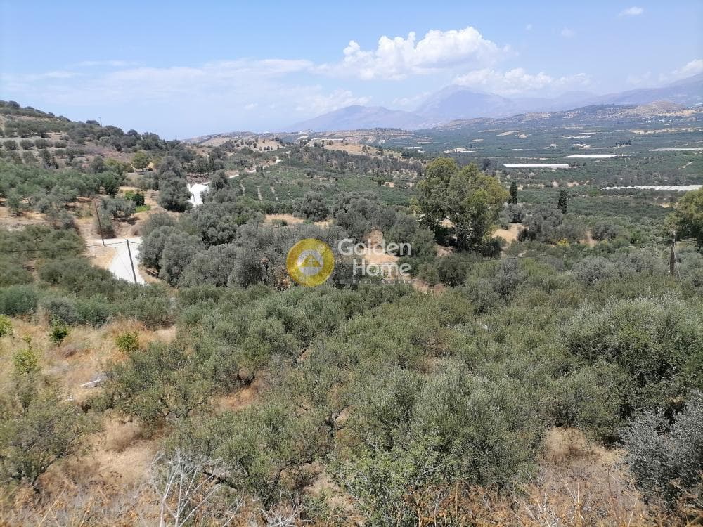Building Plot in Kouses, Moires — Photo 4 of 21
