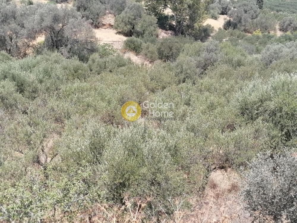 Building Plot in Kouses, Moires — Photo 18 of 21