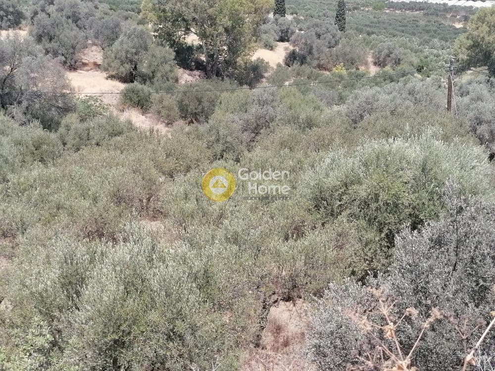 Building Plot in Kouses, Moires — Photo 19 of 21