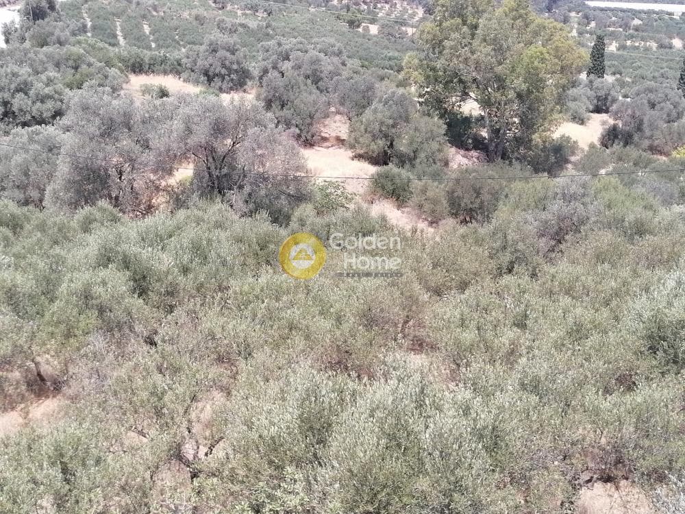 Building Plot in Kouses, Moires — Photo 20 of 21