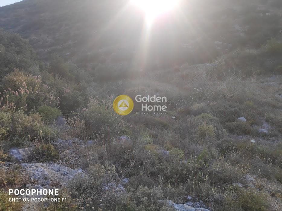 Αγροτεμάχιο στην Κουνάβοι, Αρχάνες — Φωτογραφία 3 από 18