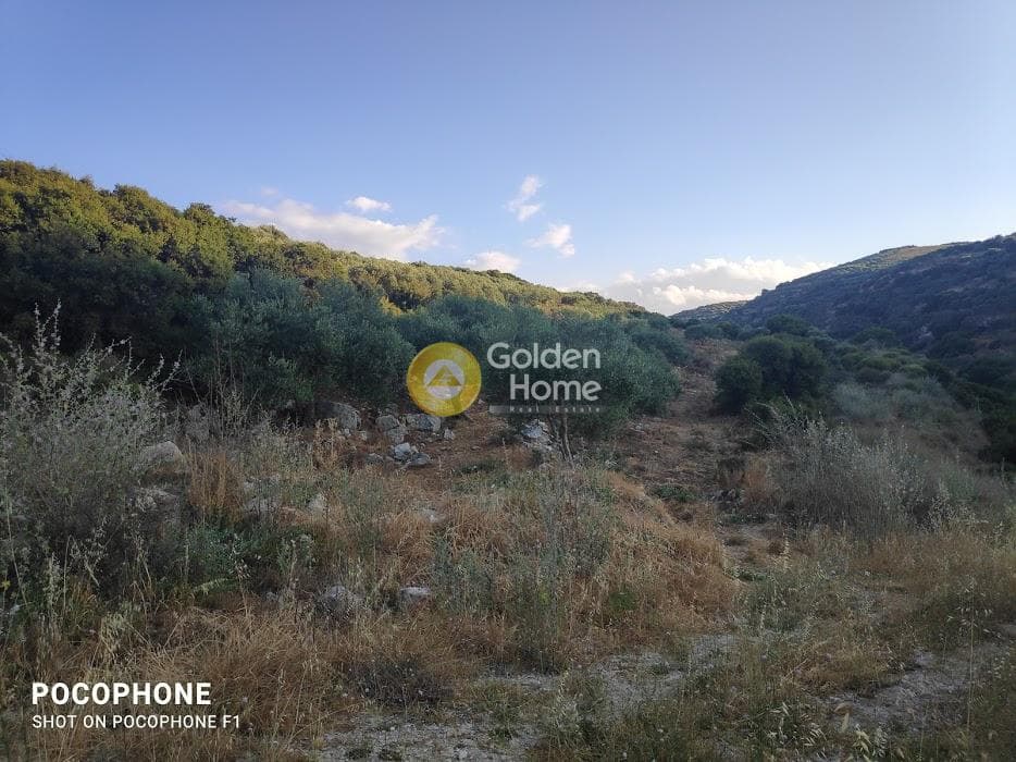 Αγροτεμάχιο στην Κουνάβοι, Αρχάνες — Φωτογραφία 6 από 18