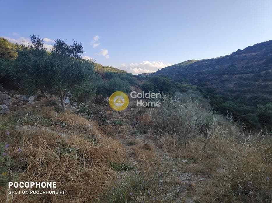 Αγροτεμάχιο στην Κουνάβοι, Αρχάνες — Φωτογραφία 7 από 18