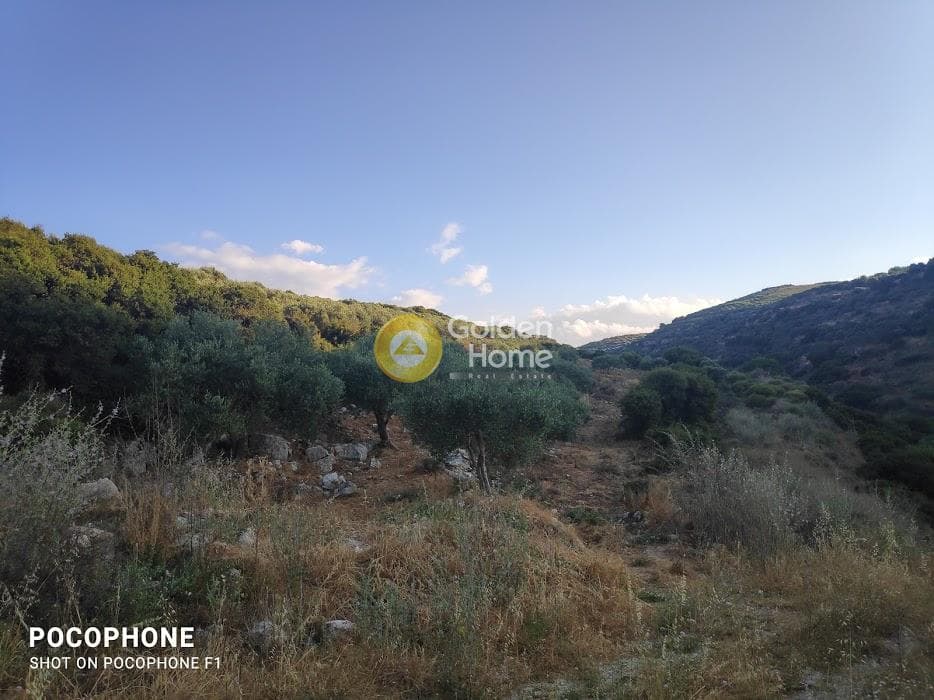 Αγροτεμάχιο στην Κουνάβοι, Αρχάνες — Φωτογραφία 8 από 18