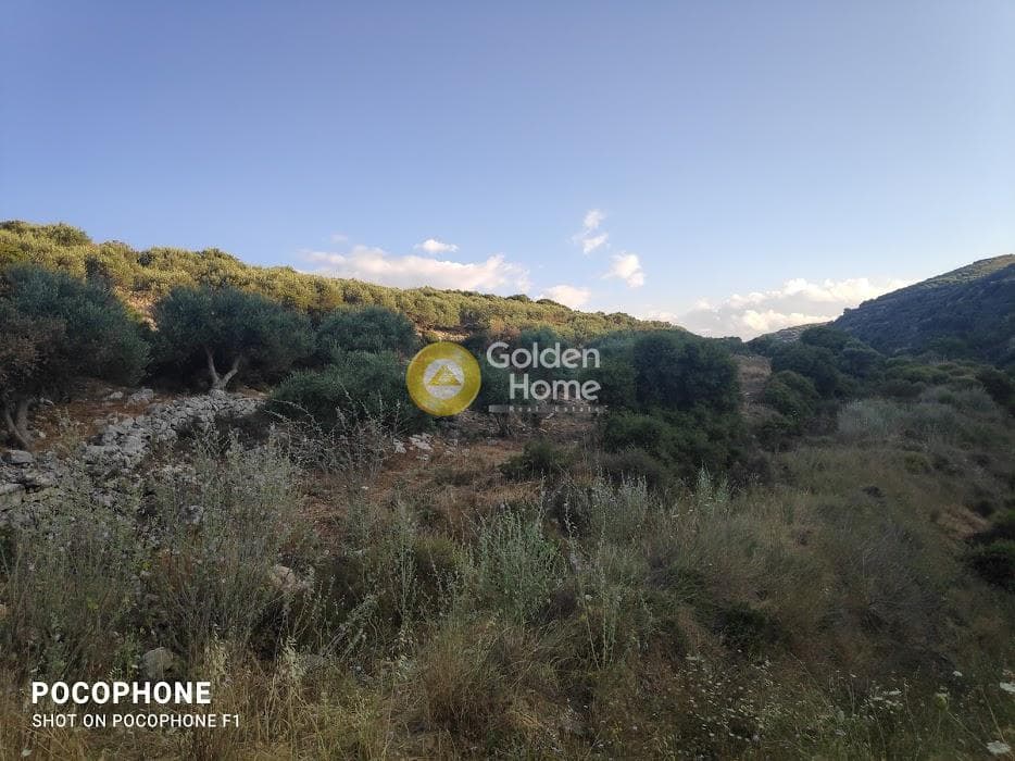 Αγροτεμάχιο στην Κουνάβοι, Αρχάνες — Φωτογραφία 9 από 18