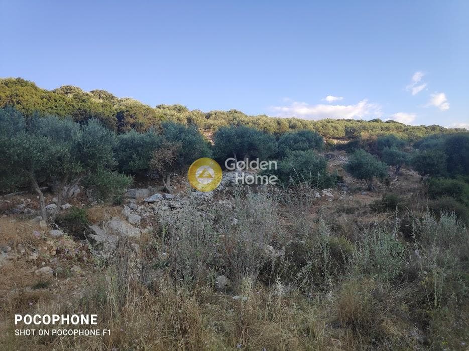 Αγροτεμάχιο στην Κουνάβοι, Αρχάνες — Φωτογραφία 10 από 18