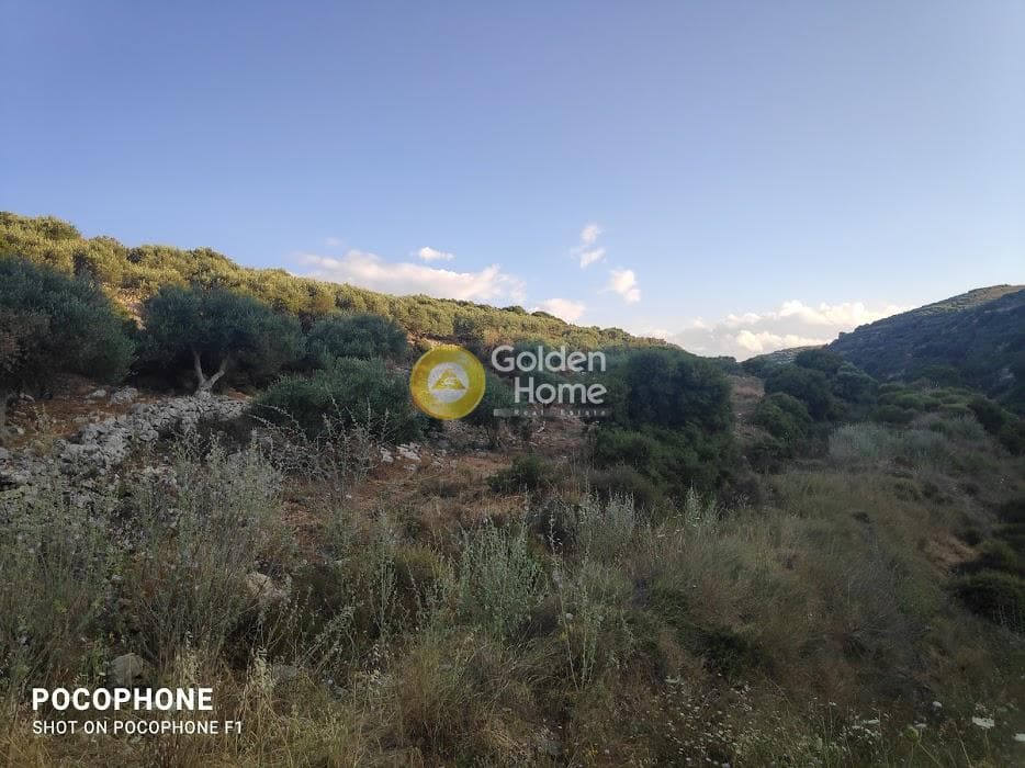 Αγροτεμάχιο στην Κουνάβοι, Αρχάνες — Φωτογραφία 12 από 18
