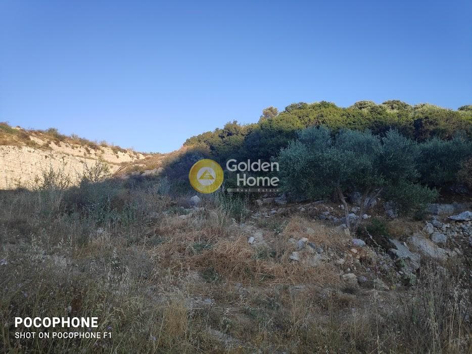 Αγροτεμάχιο στην Κουνάβοι, Αρχάνες — Φωτογραφία 14 από 18