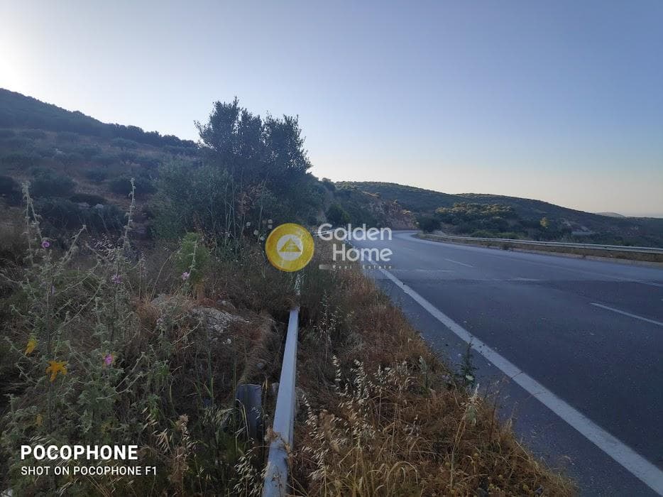 Αγροτεμάχιο στην Κουνάβοι, Αρχάνες — Φωτογραφία 15 από 18