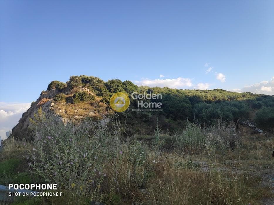 Αγροτεμάχιο στην Κουνάβοι, Αρχάνες — Φωτογραφία 16 από 18