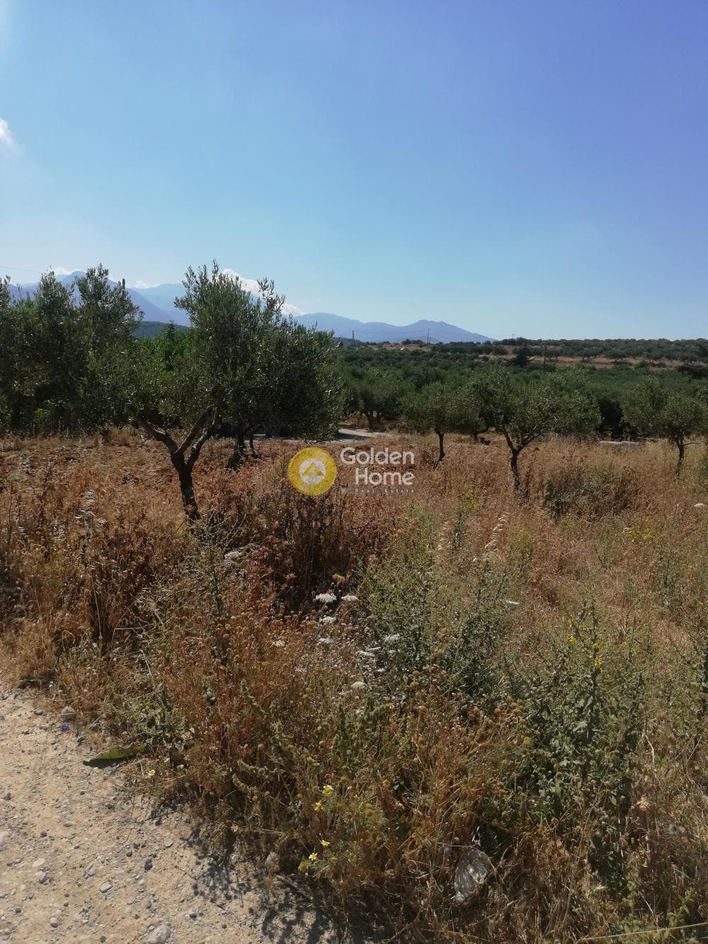 Parcel in Archontiko, Arkalochori — Photo 1 of 4