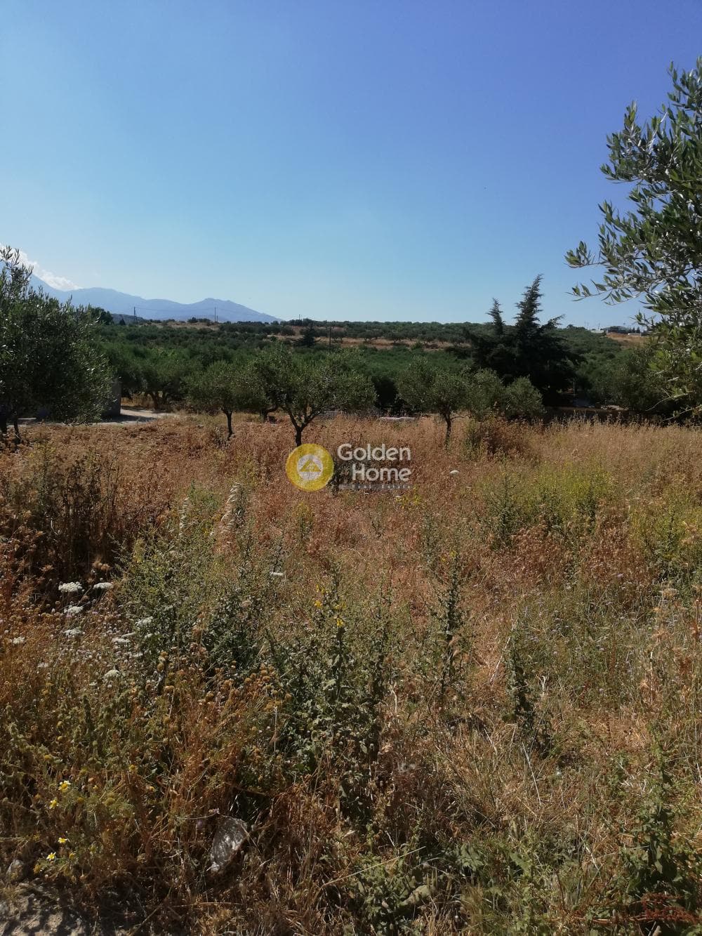 Parcel in Archontiko, Arkalochori — Photo 2 of 4