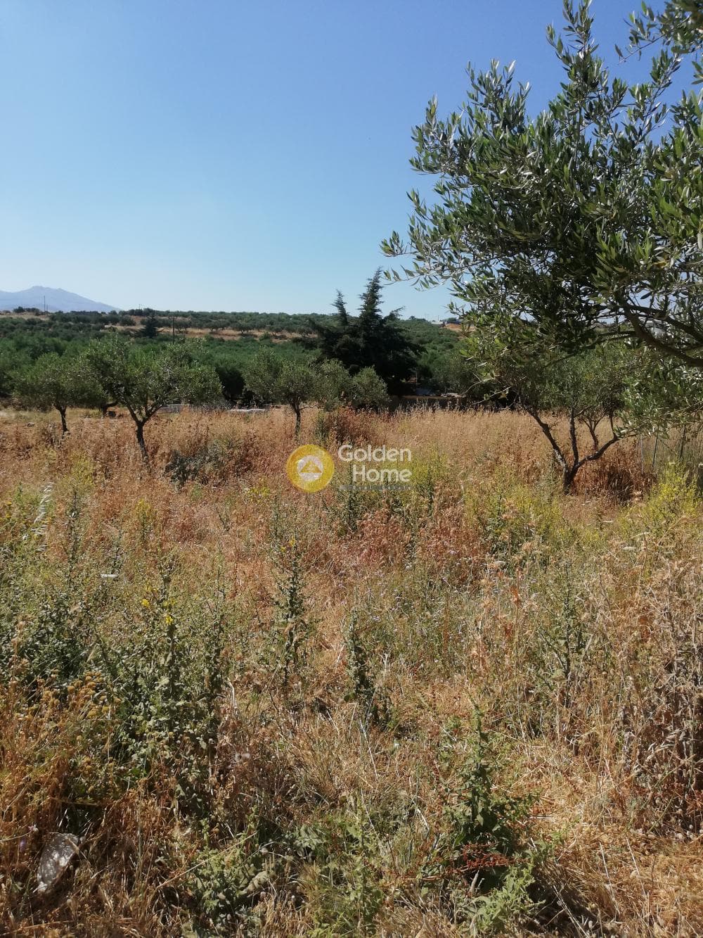 Parcel in Archontiko, Arkalochori — Photo 4 of 4