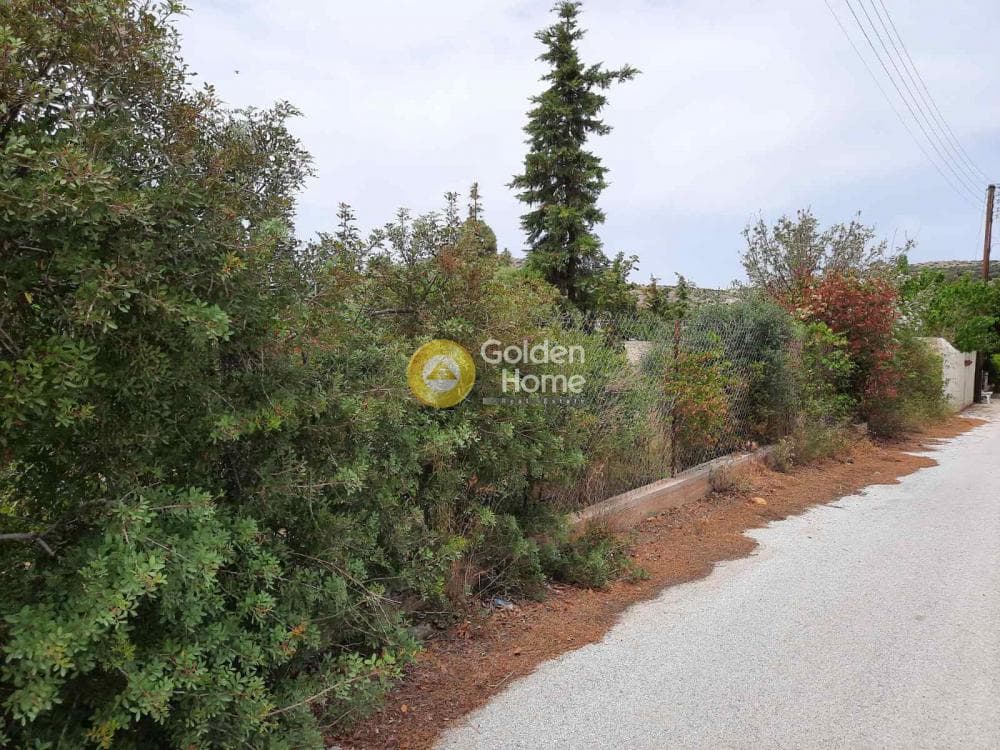 Οικόπεδο στην Κέντρο, Παλαιά Φώκαια — Φωτογραφία 6 από 17
