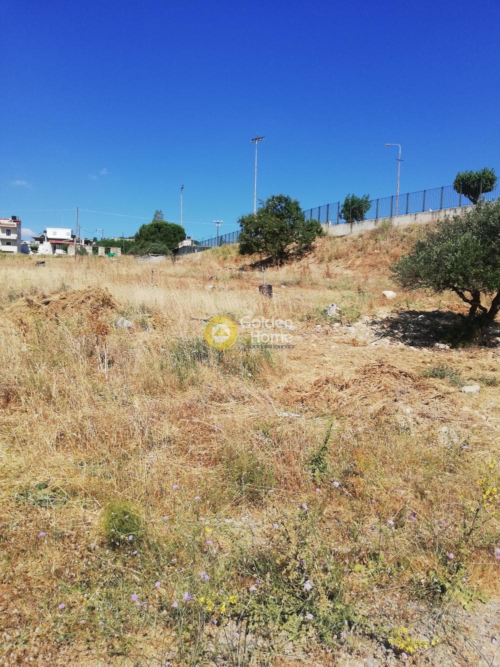 Parcel in Archontiko, Arkalochori — Photo 3 of 4