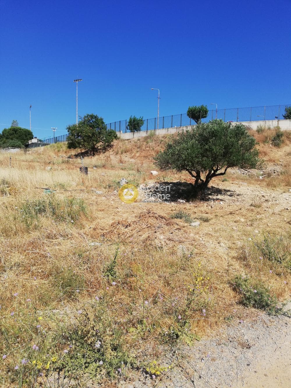 Parcel in Archontiko, Arkalochori — Photo 4 of 4