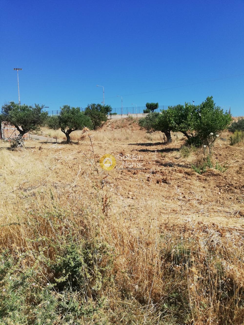 Parcel in Archontiko, Arkalochori — Photo 1 of 4