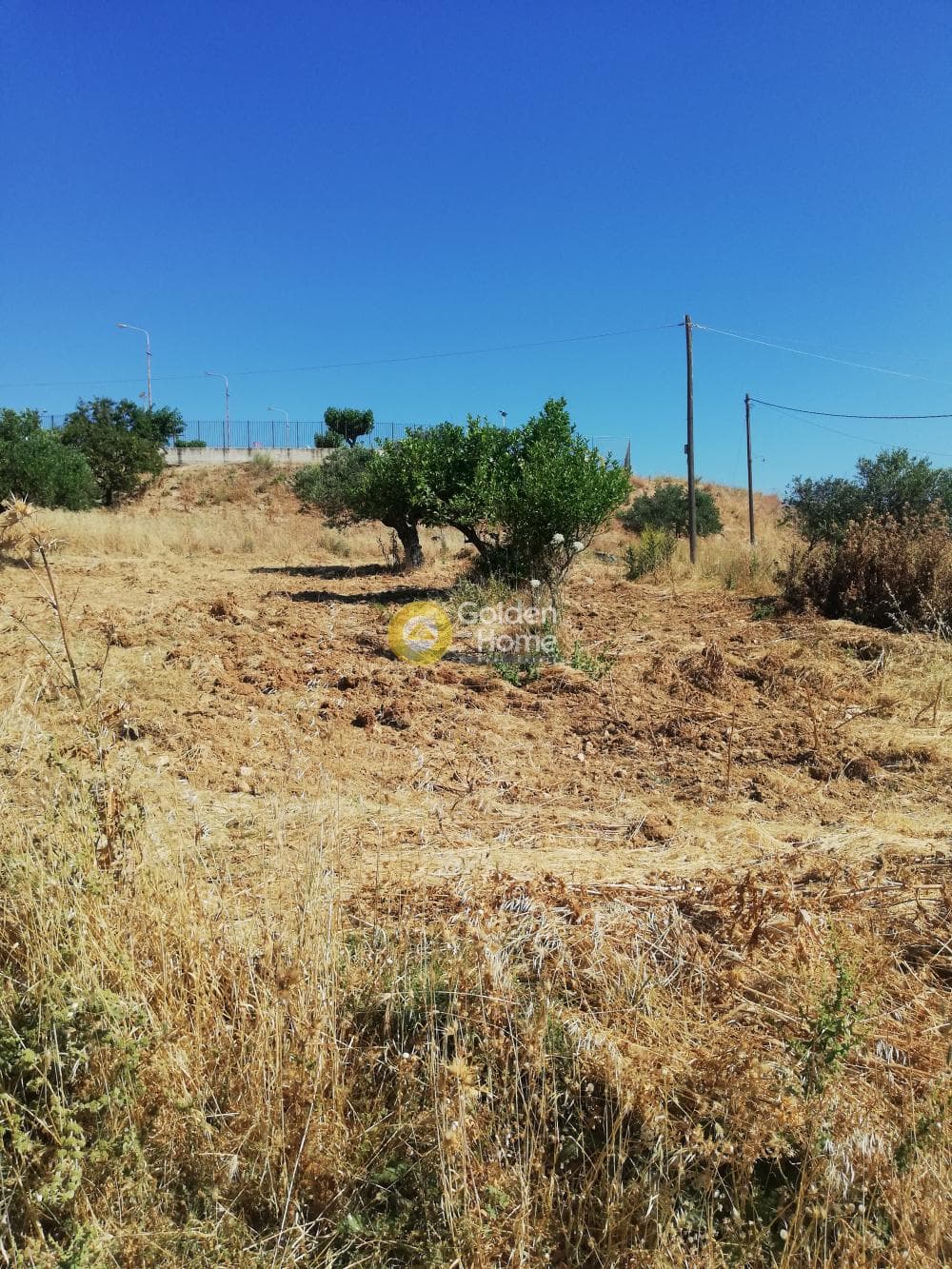 Parcel in Archontiko, Arkalochori — Photo 2 of 4