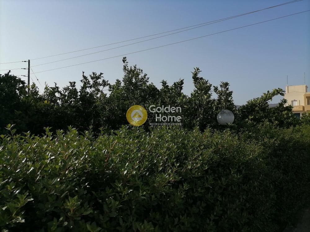 Building Plot in Monochoro, Moires — Photo 3 of 7