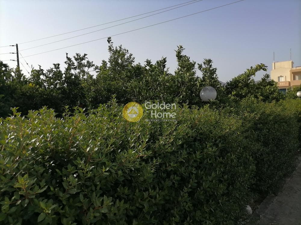 Building Plot in Monochoro, Moires — Photo 4 of 7