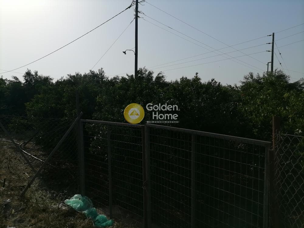 Building Plot in Monochoro, Moires — Photo 5 of 7