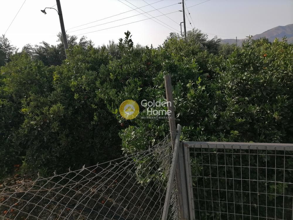 Building Plot in Monochoro, Moires — Photo 7 of 7