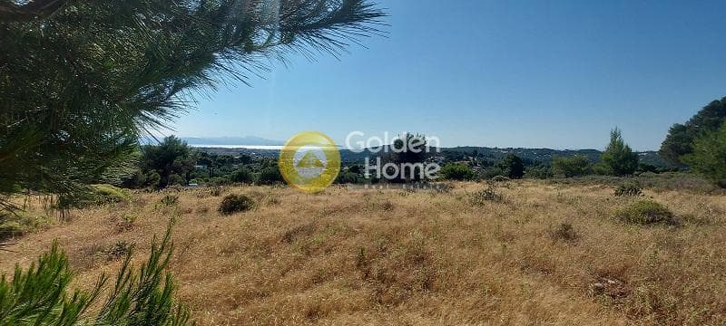 Parcel in Oikismos Vgena, Rafina — Photo 2 of 18