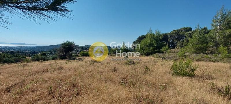 Parcel in Oikismos Vgena, Rafina — Photo 4 of 18