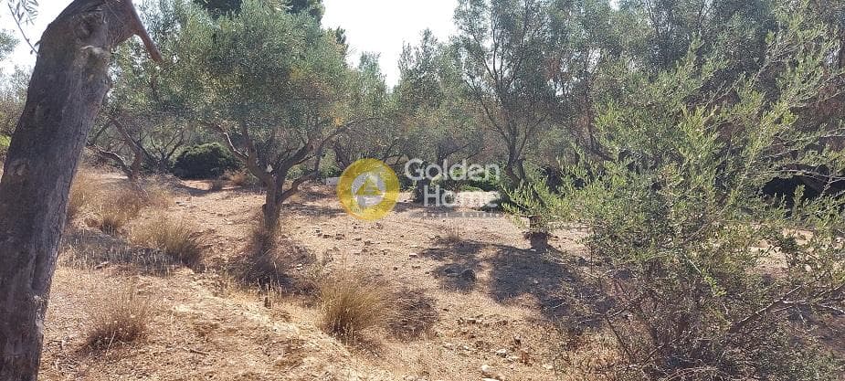 Parcel in Oikismos Vgena, Rafina — Photo 5 of 18