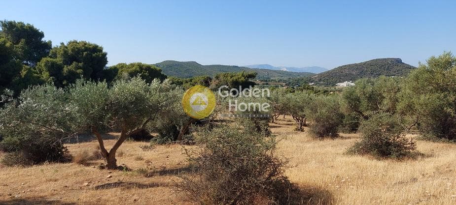 Parcel in Oikismos Vgena, Rafina — Photo 7 of 18
