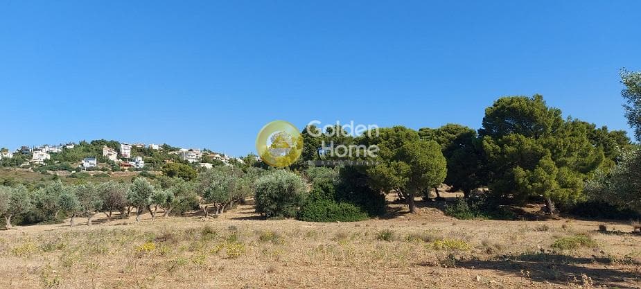 Parcel in Oikismos Vgena, Rafina — Photo 8 of 18