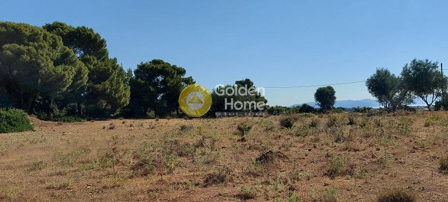 Parcel in Oikismos Vgena, Rafina — Photo 9 of 18
