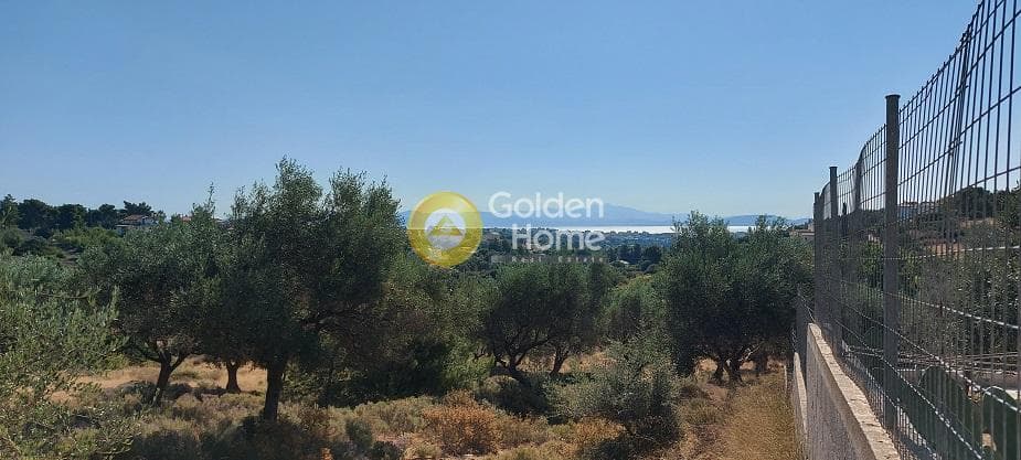 Parcel in Oikismos Vgena, Rafina — Photo 10 of 18