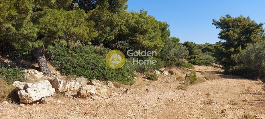 Parcel in Oikismos Vgena, Rafina — Photo 11 of 18