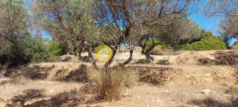 Parcel in Oikismos Vgena, Rafina — Photo 12 of 18