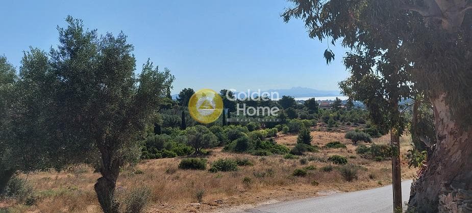 Parcel in Oikismos Vgena, Rafina — Photo 13 of 18