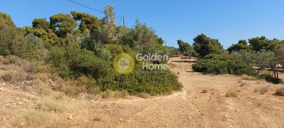Parcel in Oikismos Vgena, Rafina — Photo 14 of 18