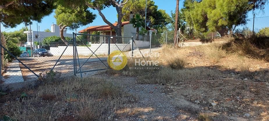 Parcel in Oikismos Vgena, Rafina — Photo 15 of 18