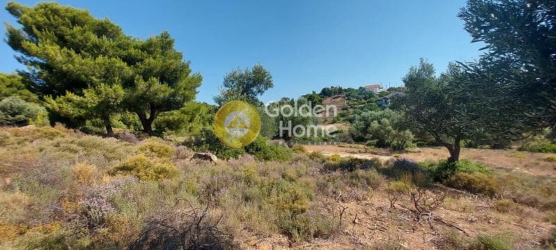 Parcel in Oikismos Vgena, Rafina — Photo 16 of 18