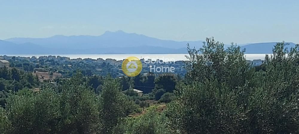 Parcel in Oikismos Vgena, Rafina — Photo 1 of 18
