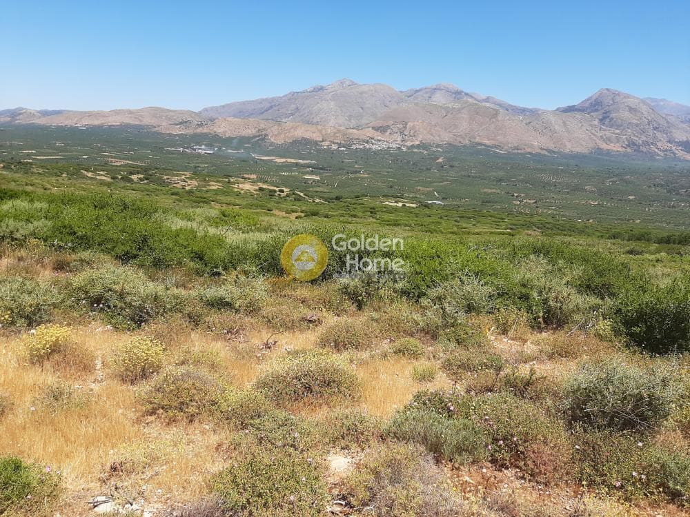 Parcel in Avli, Arkalochori — Photo 6 of 8