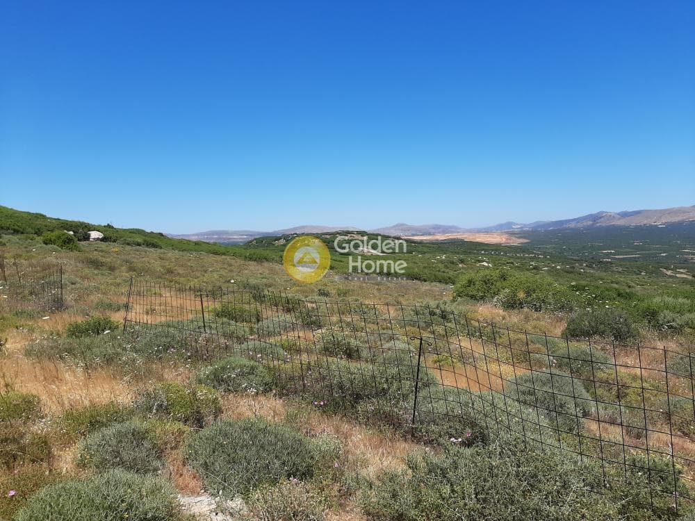 Parcel in Avli, Arkalochori — Photo 3 of 8