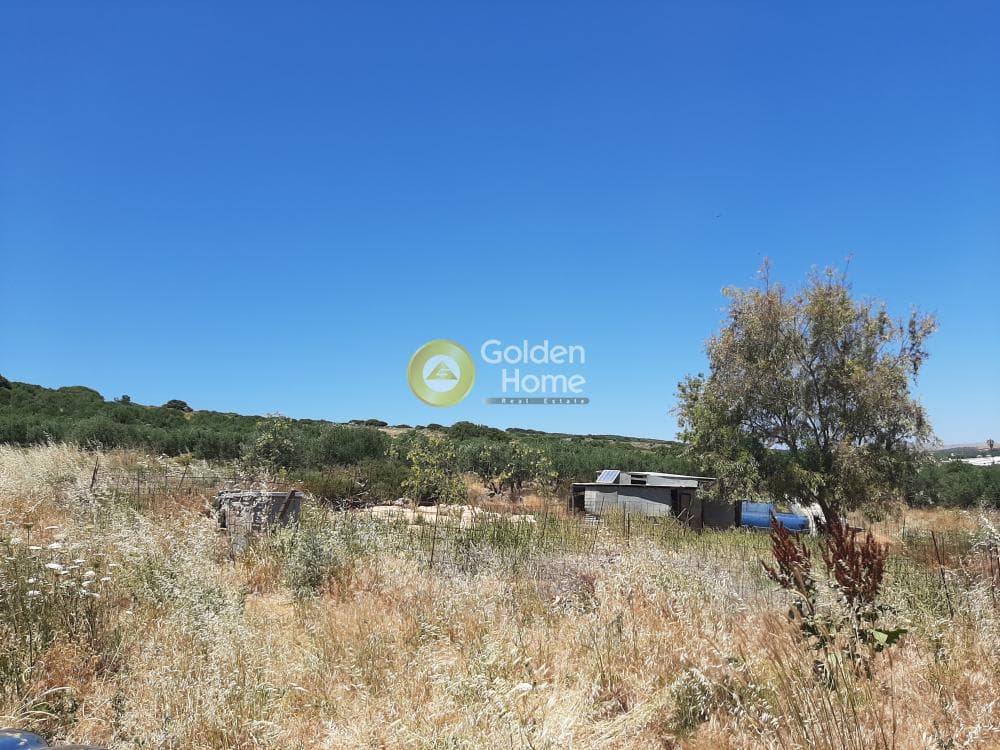 Parcel in Avli, Arkalochori — Photo 1 of 8