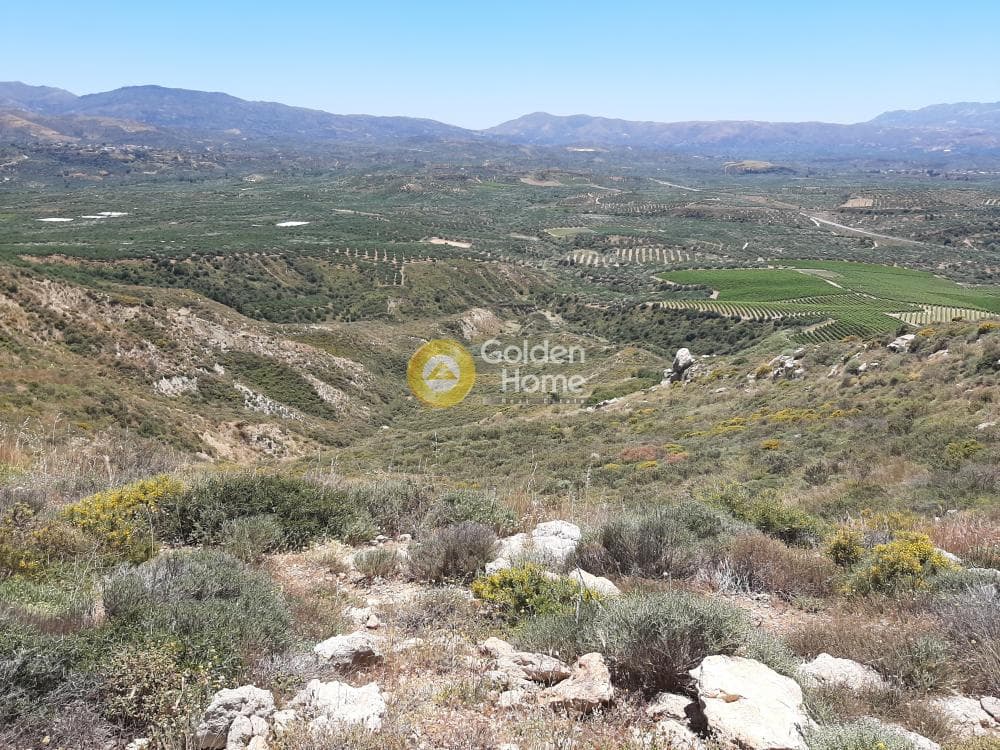 Parcel in Avli, Arkalochori — Photo 8 of 8