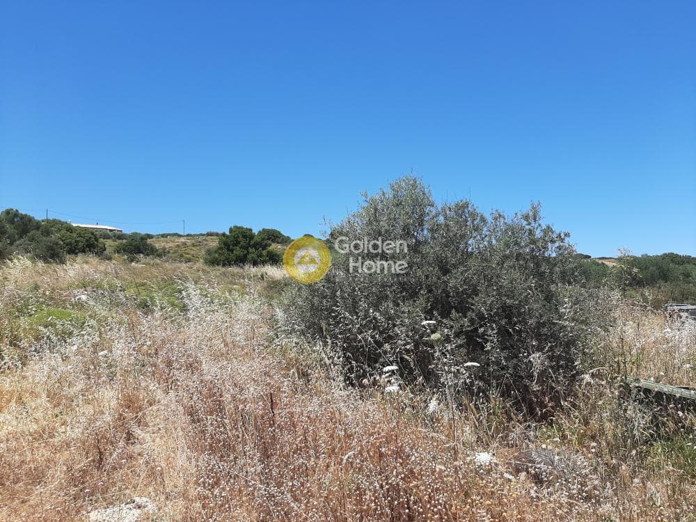 Parcel in Avli, Arkalochori — Photo 4 of 8