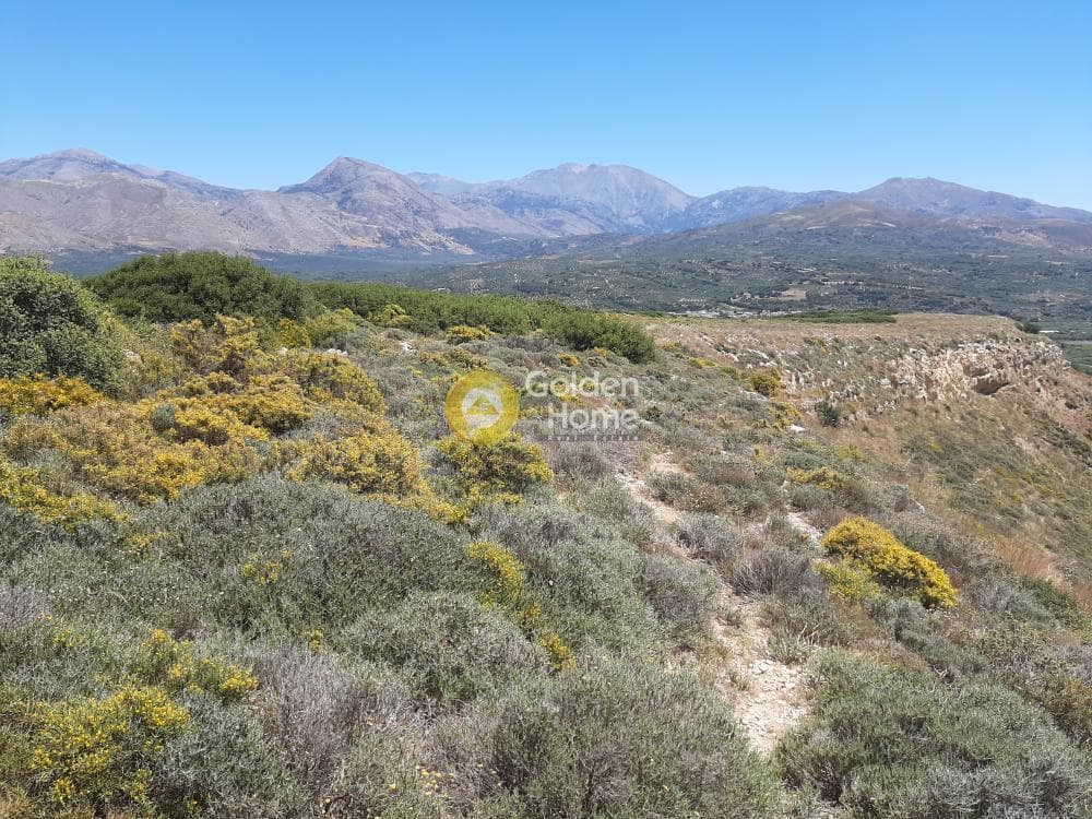 Parcel in Avli, Arkalochori — Photo 5 of 8