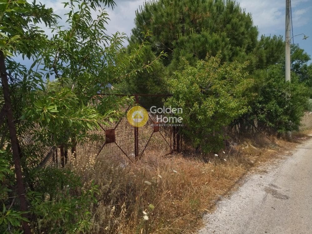 Αγροτεμάχιο στην Κέντρο, Κερατέα — Φωτογραφία 2 από 4