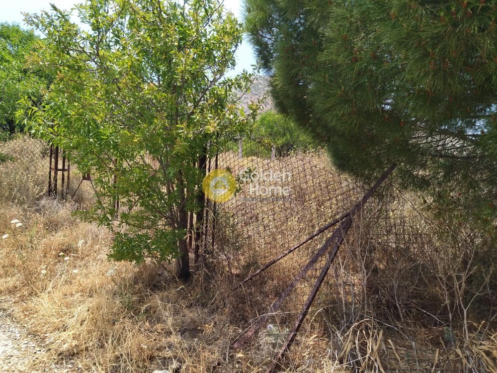 Αγροτεμάχιο στην Κέντρο, Κερατέα — Φωτογραφία 3 από 4