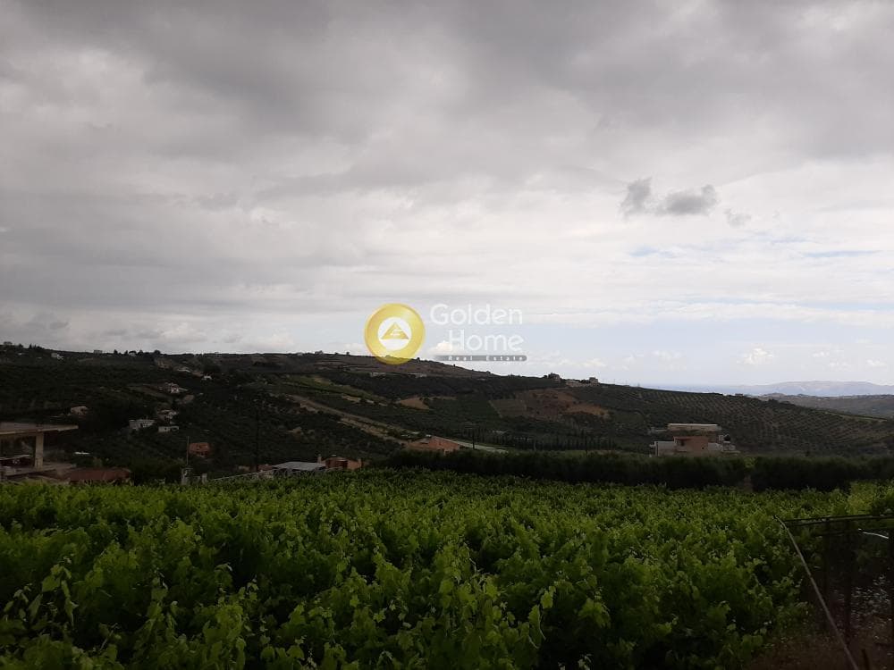 Οικόπεδο στην Σίλαμος, Αρχάνες — Φωτογραφία 1 από 4